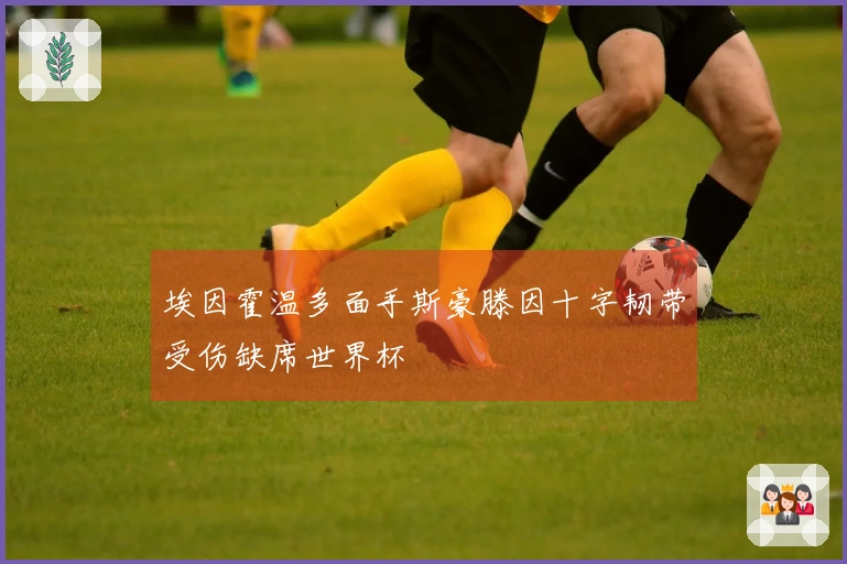 埃因霍温多面手斯豪滕因十字韧带受伤缺席世界杯