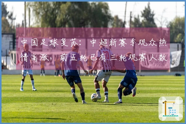 中国足球复苏：中超新赛季观众热情高涨，前五轮已有三轮观赛人数跻身历史前六