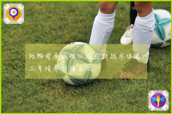 约维奇承认难以适应新战术体系，三年培养付诸东流