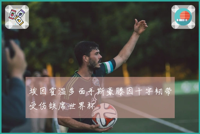 埃因霍温多面手斯豪滕因十字韧带受伤缺席世界杯